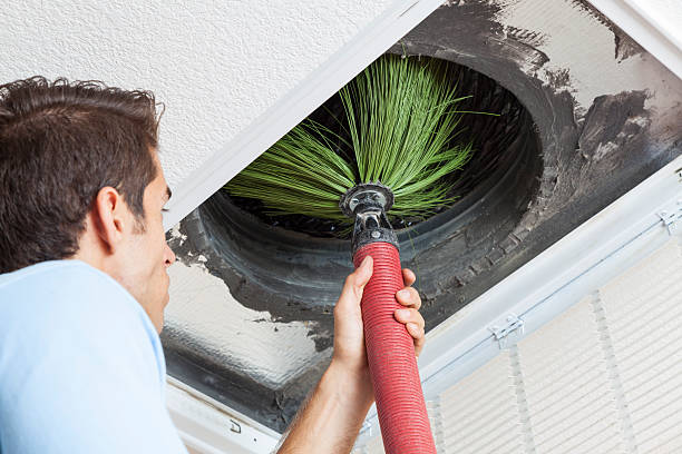 Best Air Duct Mold Removal  in Dekal, IL